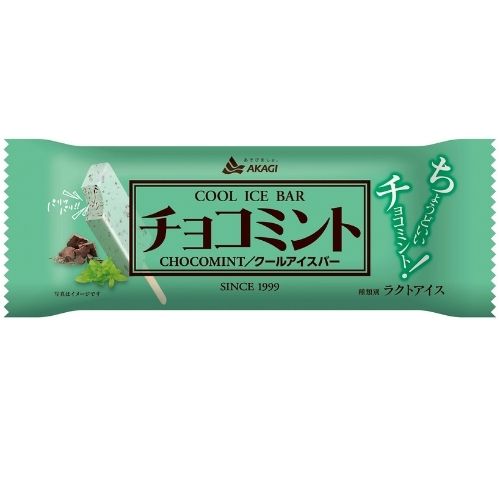 Chocolate Mint Ice Cream Bar